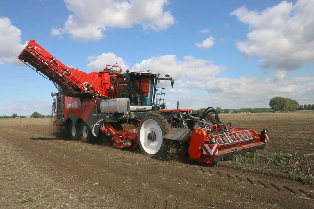 Om zijn 170 hectare pootgoedstammen te rooien zet Vael een splinternieuwe DeWulf Enduro 4rijige zelfrijdende bunkerrooier in. Foto: Anton Dingemanse