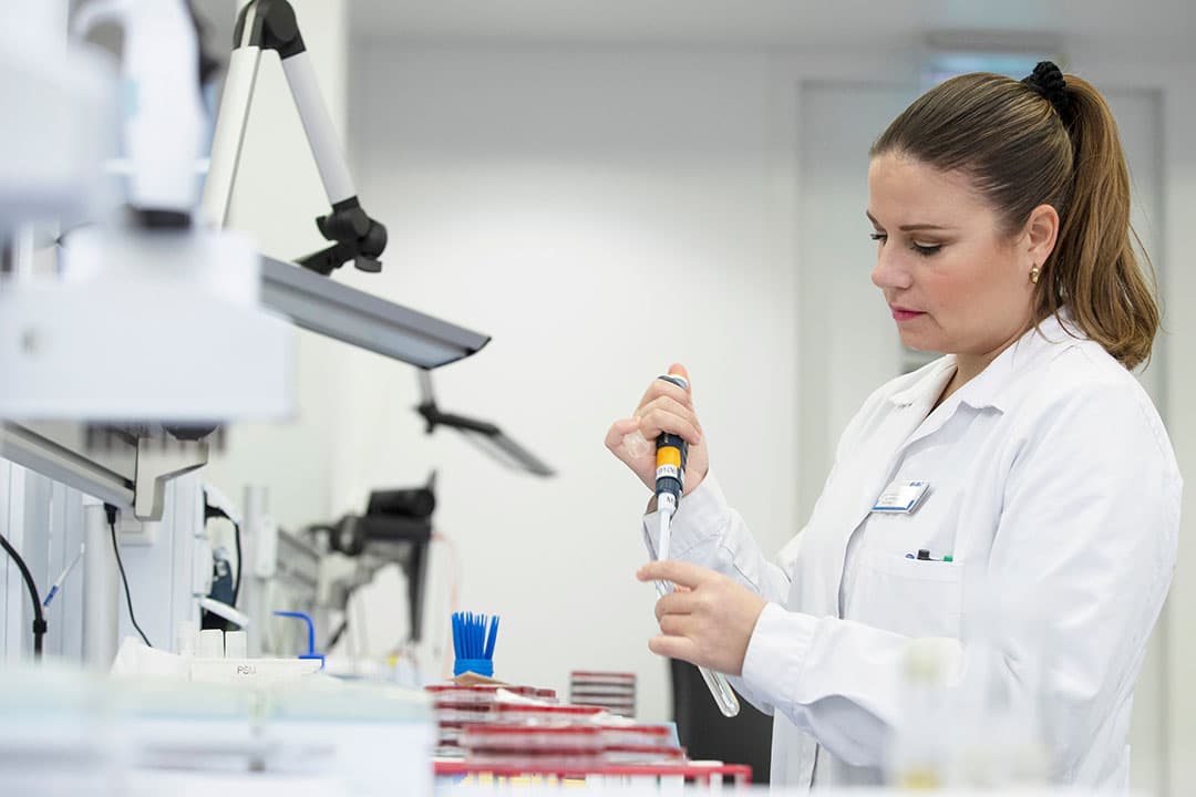 Met bacteriologisch onderzoek van koeienmelk stelt Royal GD in haar laboratorium vast welke ziekteverwekker mastitis veroorzaakt. Daarmee kunnen veehouder en dierenarts het probleem gericht aanpakken. - Foto: GD