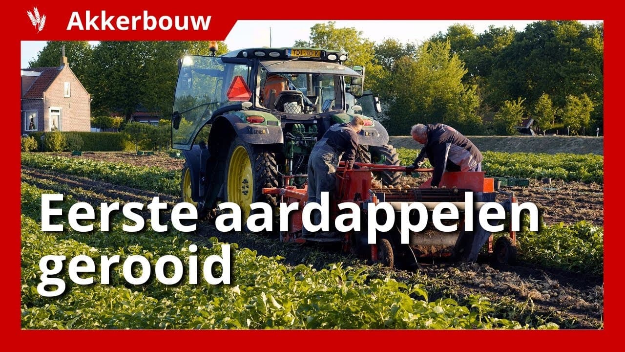 Video | Eerste vroege aardappelen gerooid op 8 mei