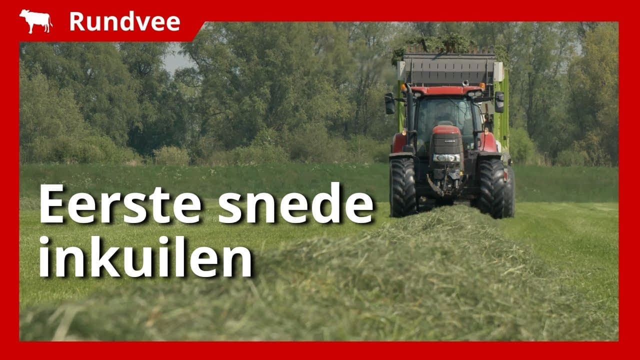 Video | 60 hectare eerste snede gras ingekuild