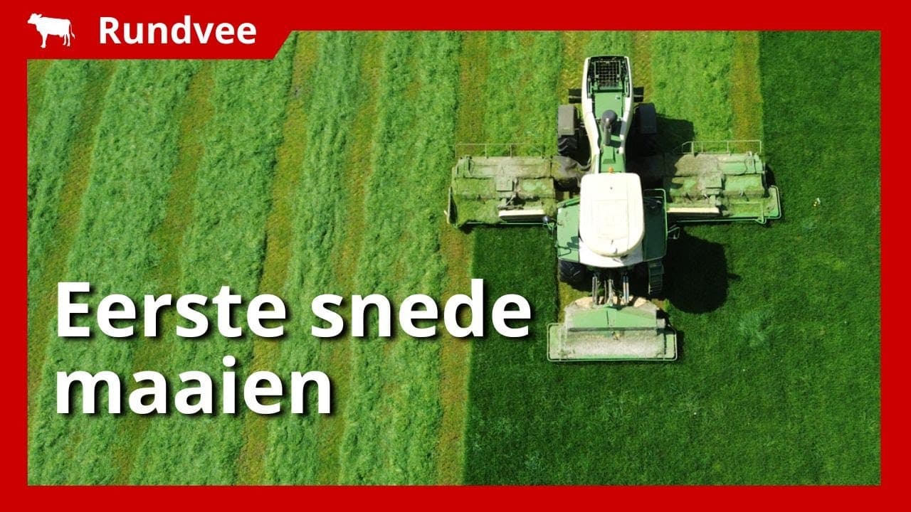 Video | Eerste snede gras maaien met een Krone Big M 420