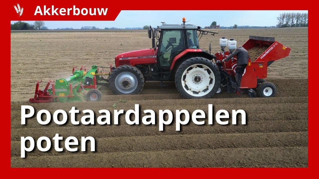 Video | Pootaardappelen vlot gepoot dankzij losse grond en droog weer
