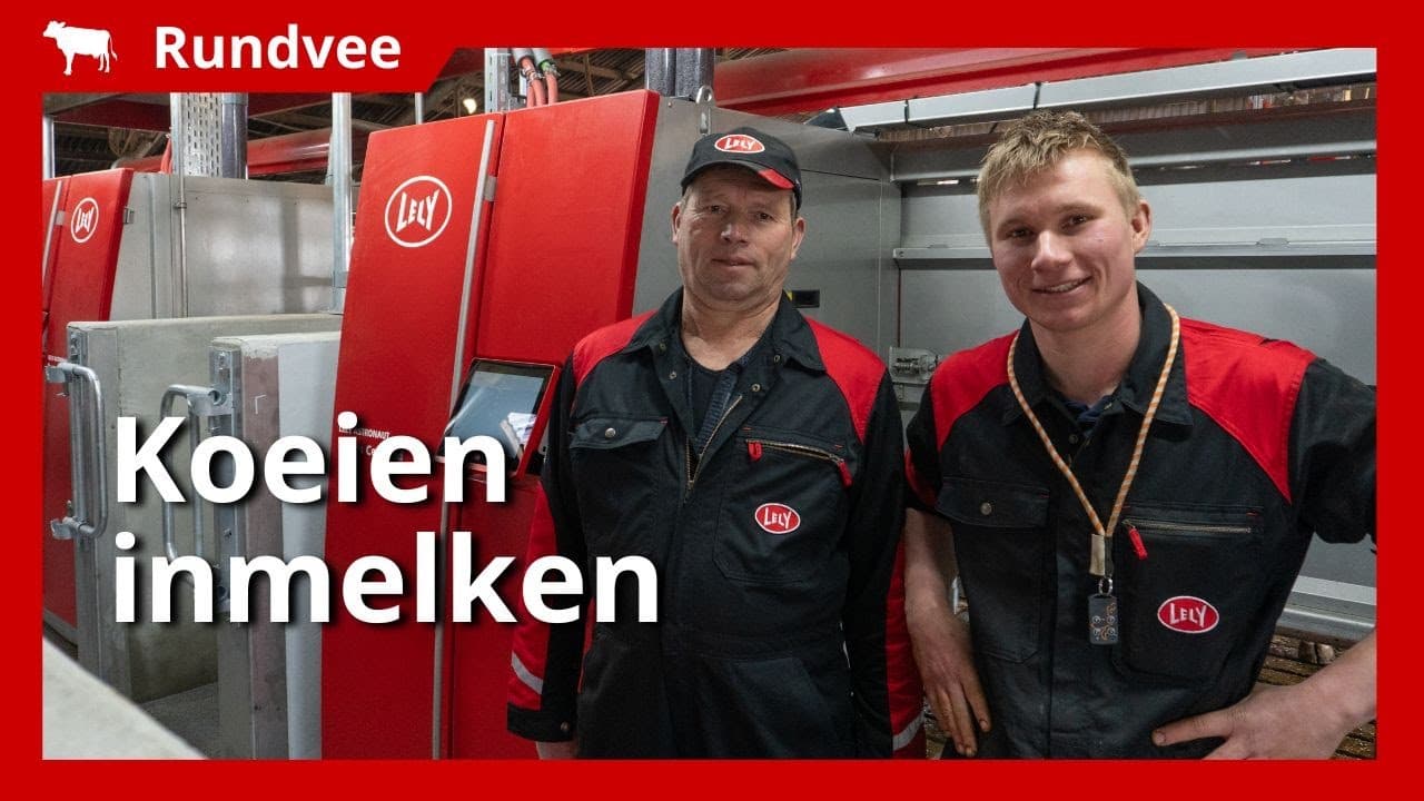 Video | Inmelken van 85 koeien met twee nieuwe melkrobots