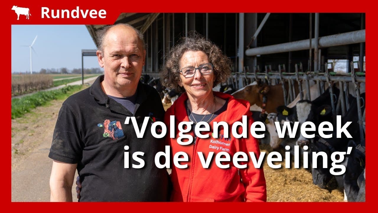Video | Melkveebedrijf doet mee aan stoppersregeling: 'Niet hoe wij het wilden'