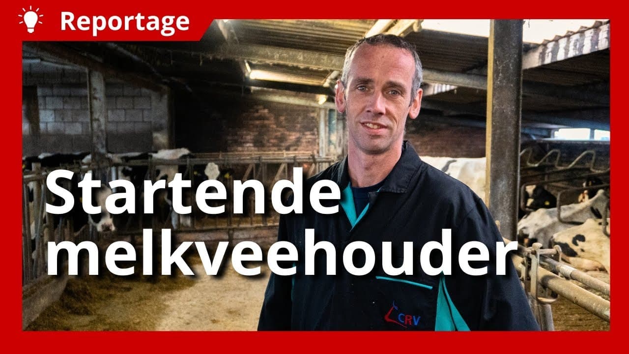 Video | Remco start nieuw melkveebedrijf: ‘De grupstal is verbouwd tot tijdelijke melkstal’