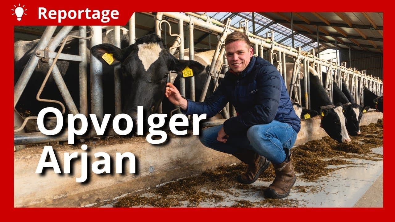 Video | Opvolger erg blij met nieuwe melkveestal: 'Koeien konden tijdelijk bij de buren'