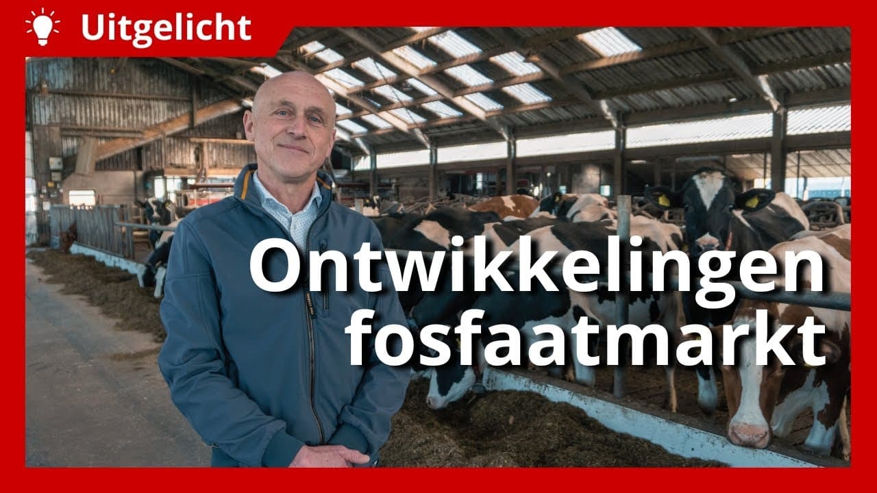 Uitgelicht | Fosfaatrechten: marktontwikkelingen en prijzen