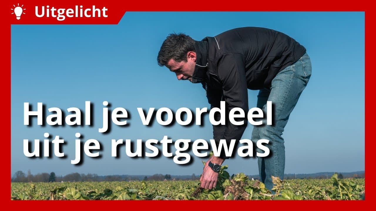Uitgelicht | Rustgewas: haal voordeel uit deze verplichting