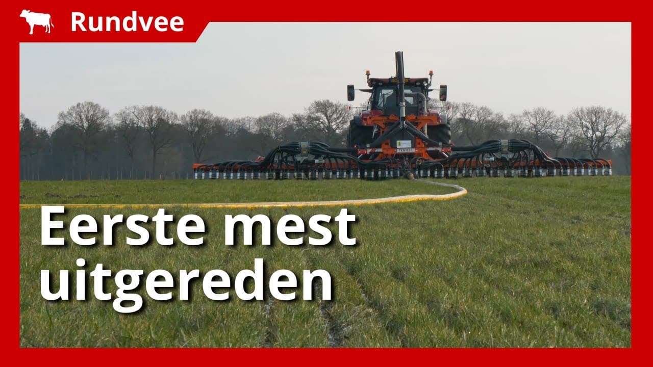 Video | Mest uitrijden: melkveehouder Hettinga start ondanks winterweer