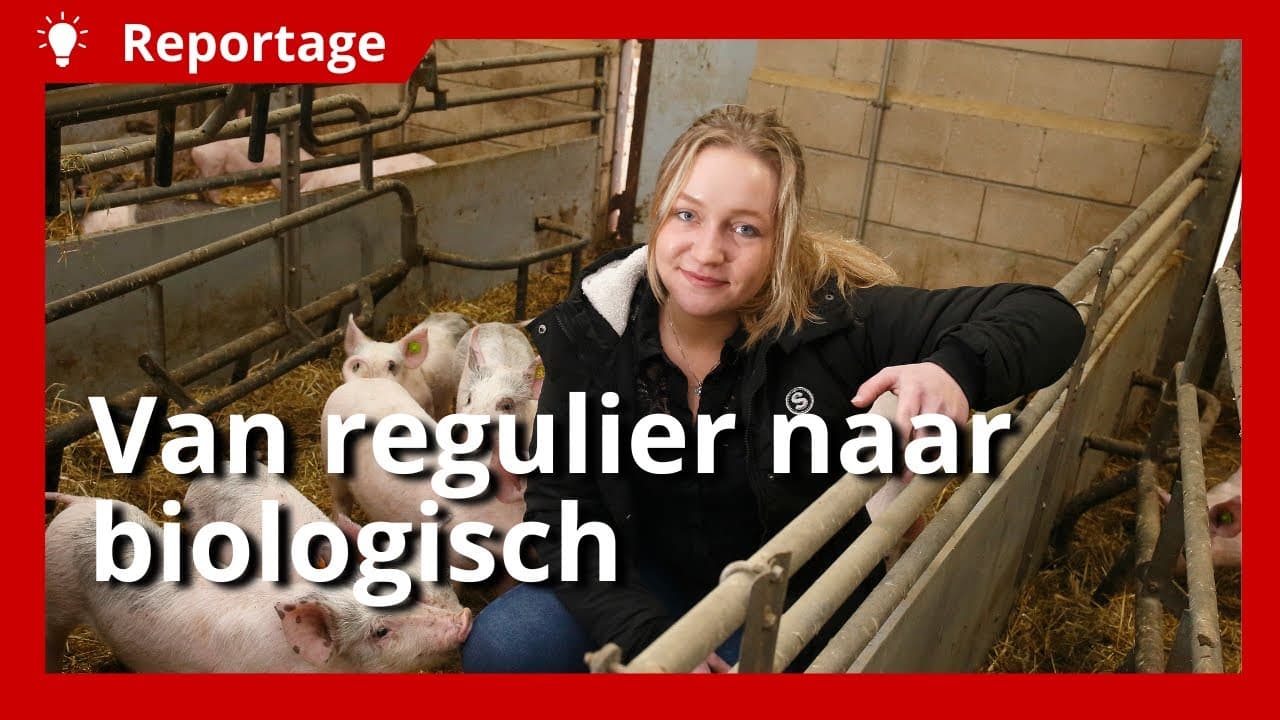 Video | Opvolger Michelle bouwt aan een toekomstbestendige biologische varkenshouderij