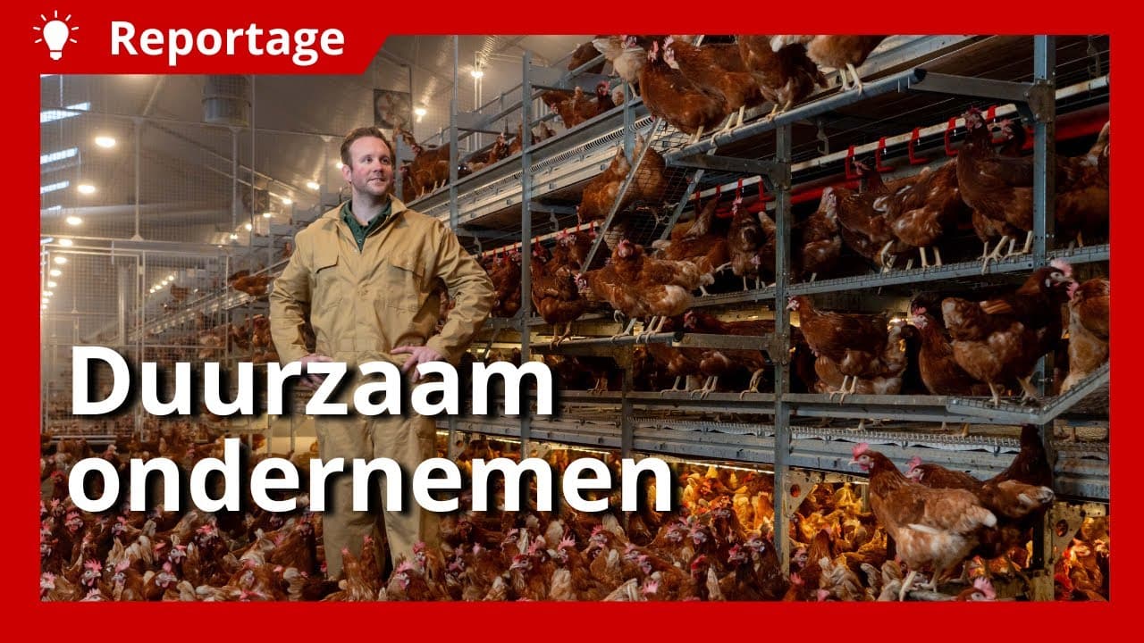 Video | Duurzaam ondernemen met diverse landbouwtakken