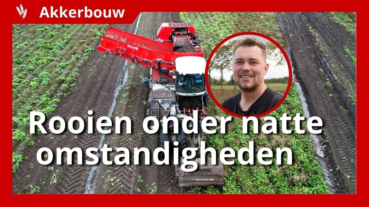 Video | Aardappelen rooien op natte grond blijkt flinke uitdaging