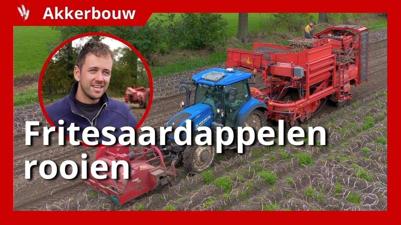 Video | Fritesaardappelen rooien na een uitdagend seizoen