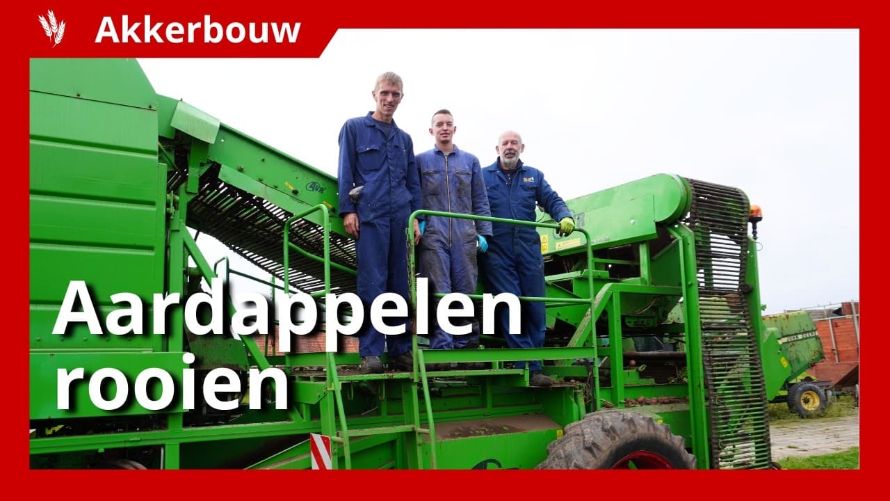 Video | Aardappelen oogsten voor de regenbuien