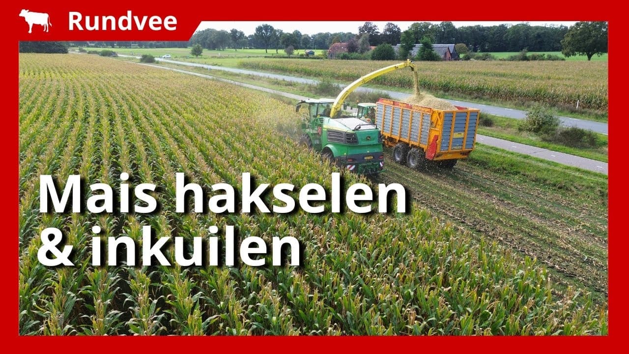Video | Mais hakselen en inkuilen met John Deere-machines