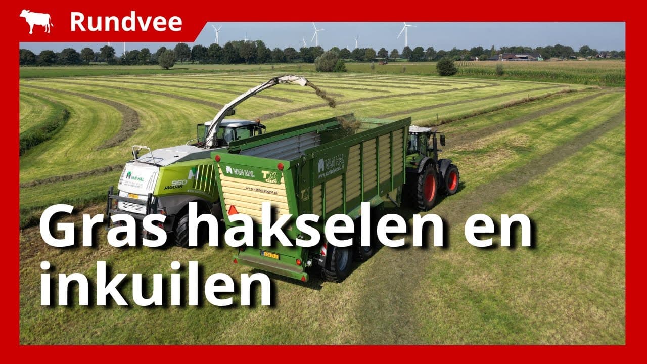 Video | 45 hectare gras hakselen en inkuilen
