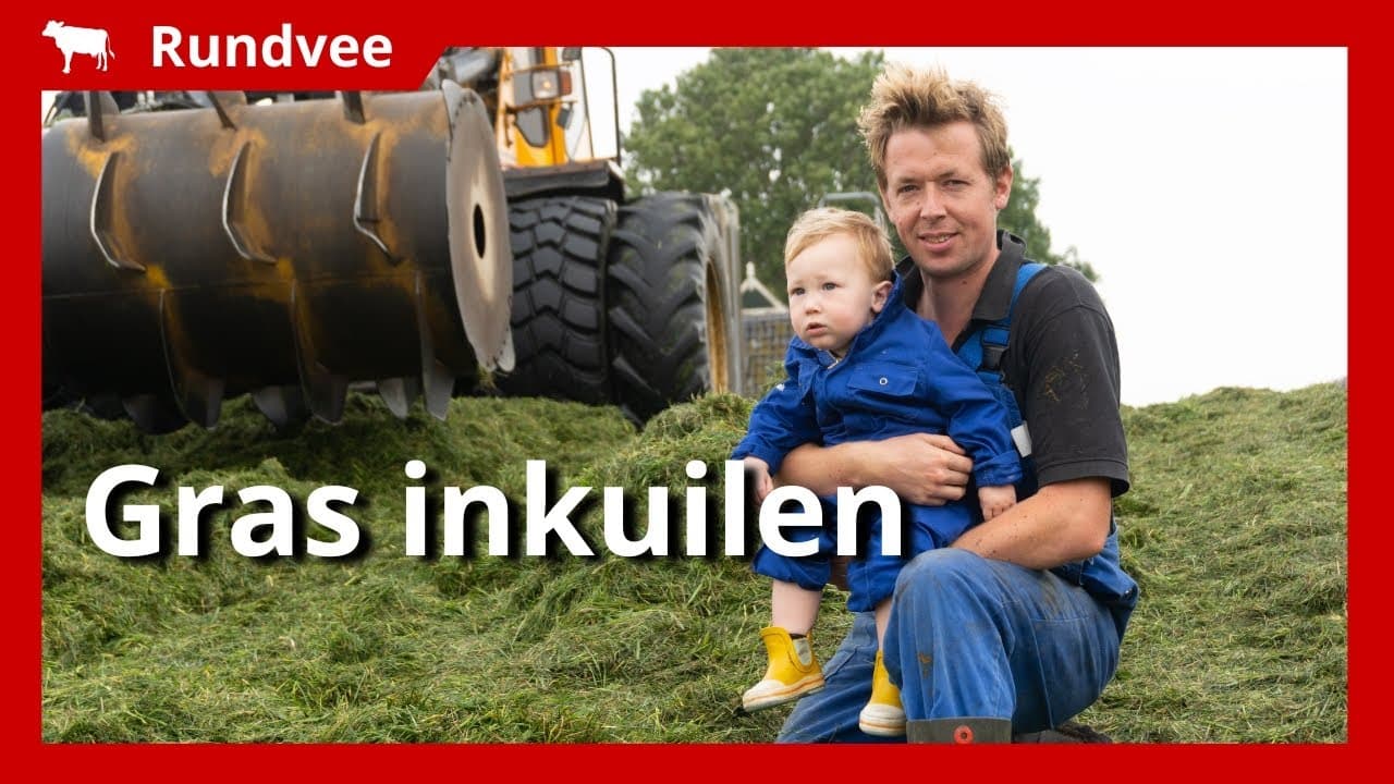 Video | Gras inkuilen tussen de buien door