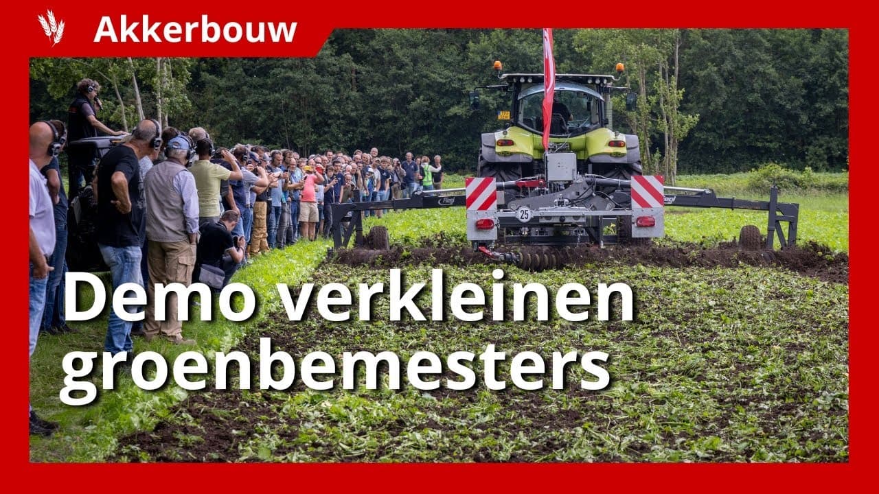 Video | Machines in actie: verkleinen van groenbemesters