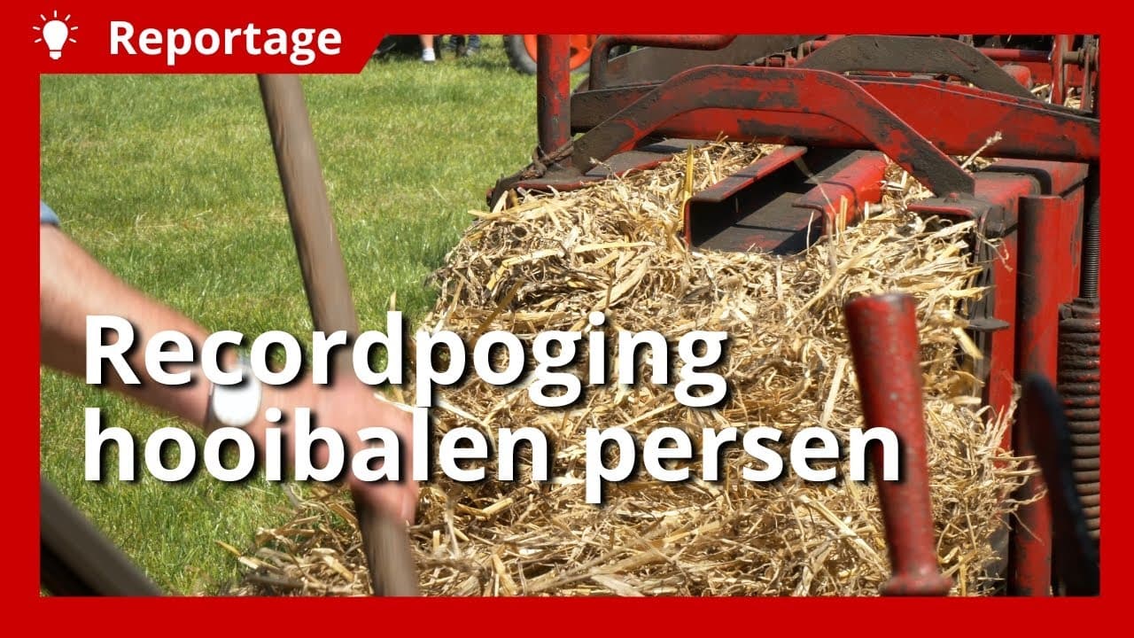 Video | Recordaantal oude hooipersen aan het werk op tentoonstelling in Friesland