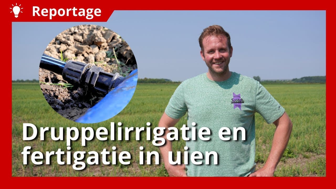 Video | Druppelirrigatie en fertigatie in uien voor meer opbrengst