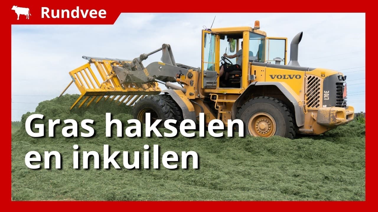 Video | 70 hectare gras inkuilen voor het slechte weer