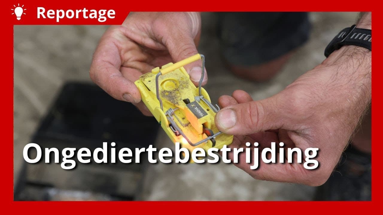 Video | Ongedierte bestrijden met sensorgestuurde vallen
