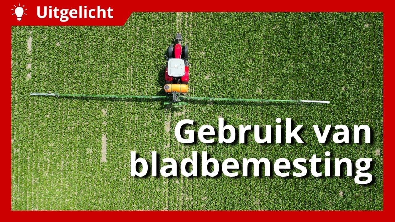 Uitgelicht | Wanneer kies je voor bladbemesting?