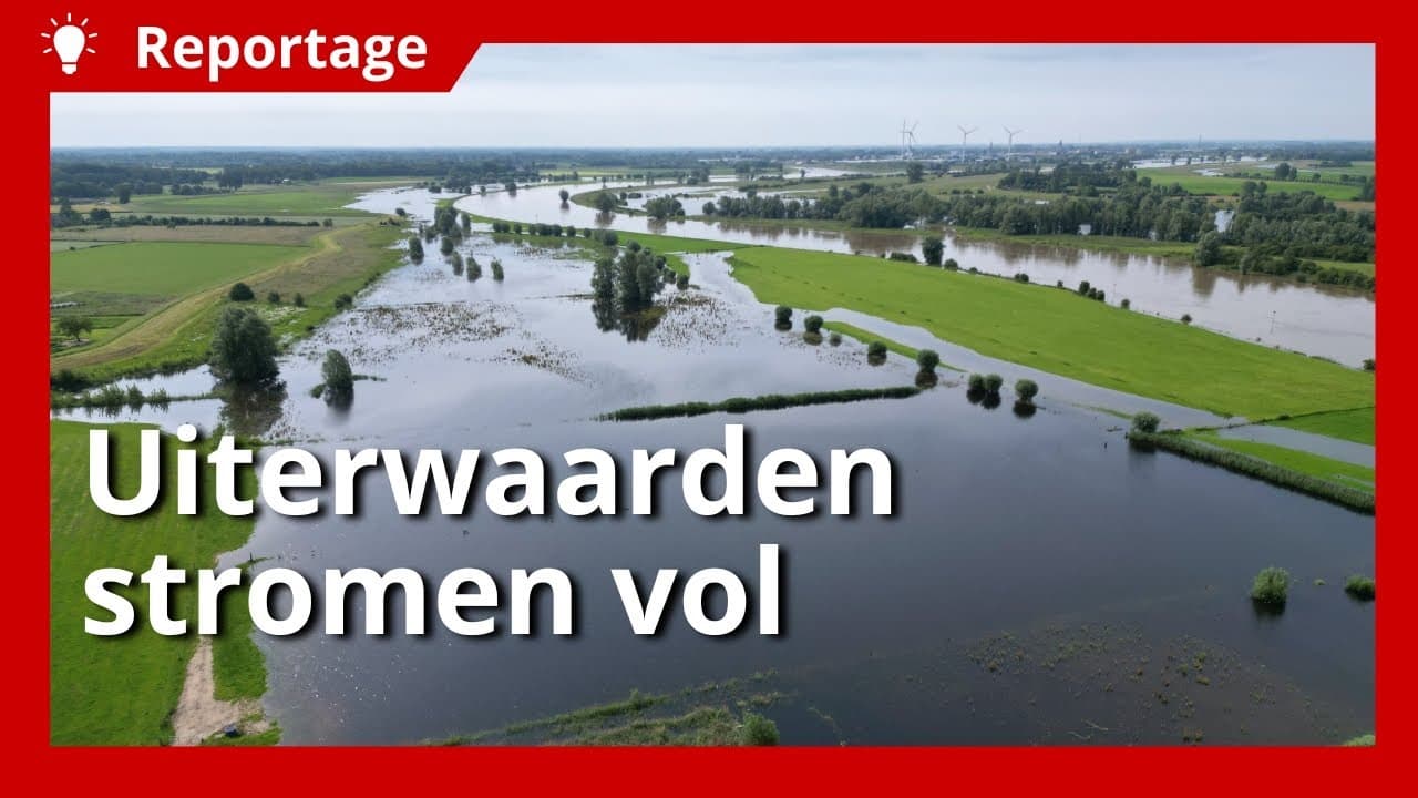 Video | Vee noodgedwongen op stal door hoog water