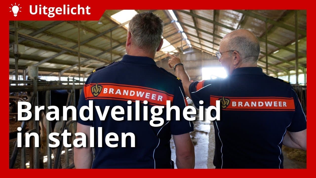 Uitgelicht | Maak je stal brandveilig met deze tips