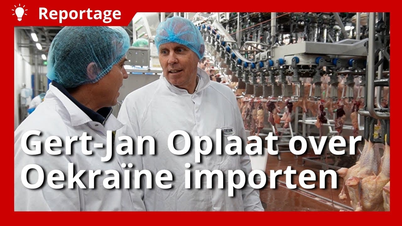 Video | Nepluvi-voorzitter Gert-Jan Oplaat over de Oekraïne-importen