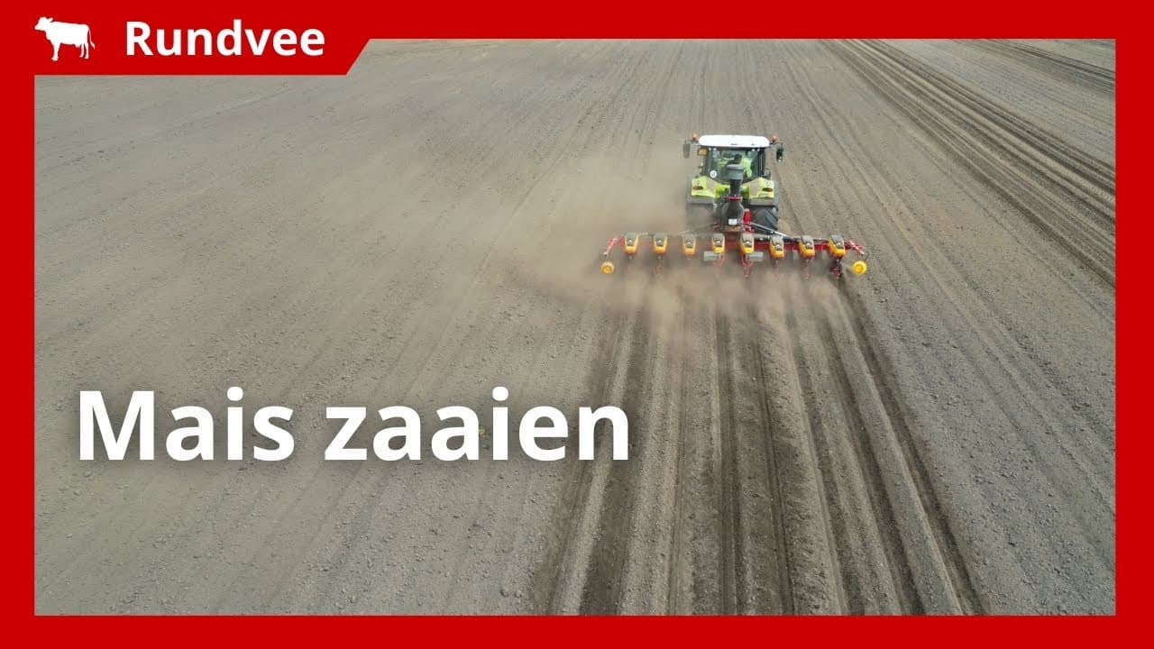 Video | Mais zaaien onder droge omstandigheden