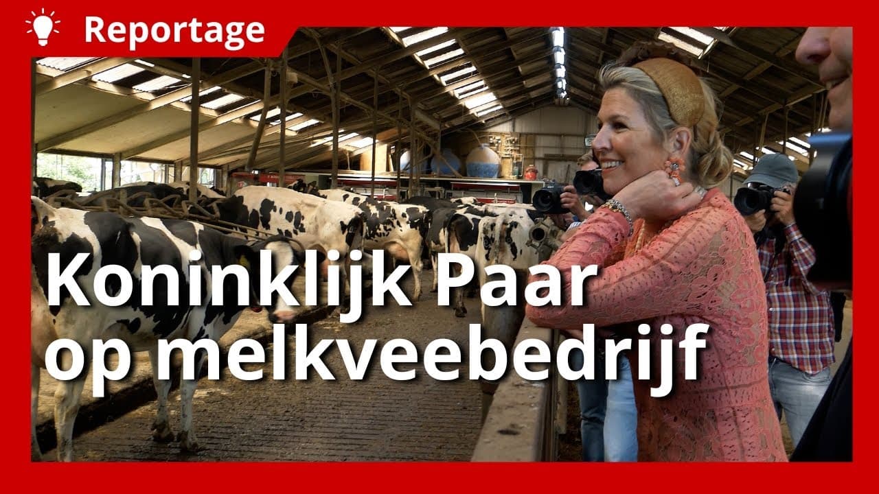 Video | Koninklijk paar bezoekt melkveebedrijf in Stedum