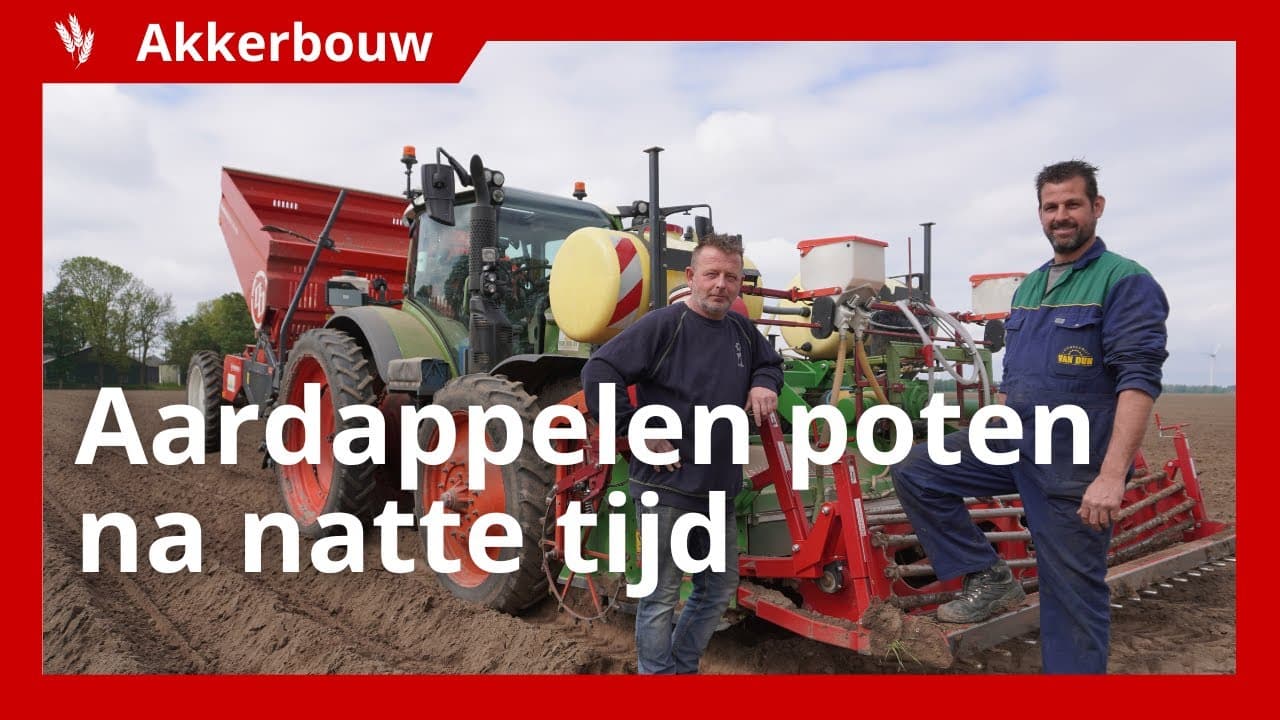 Video | Aardappelen in Flevoland gaan goed de grond in