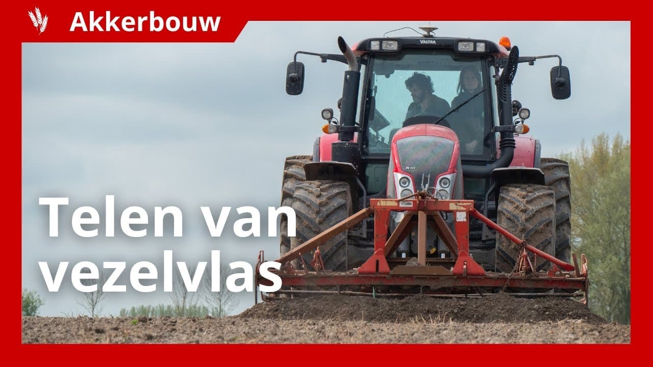 Video | Biologisch telen van vezelvlas voor duurzaam textiel