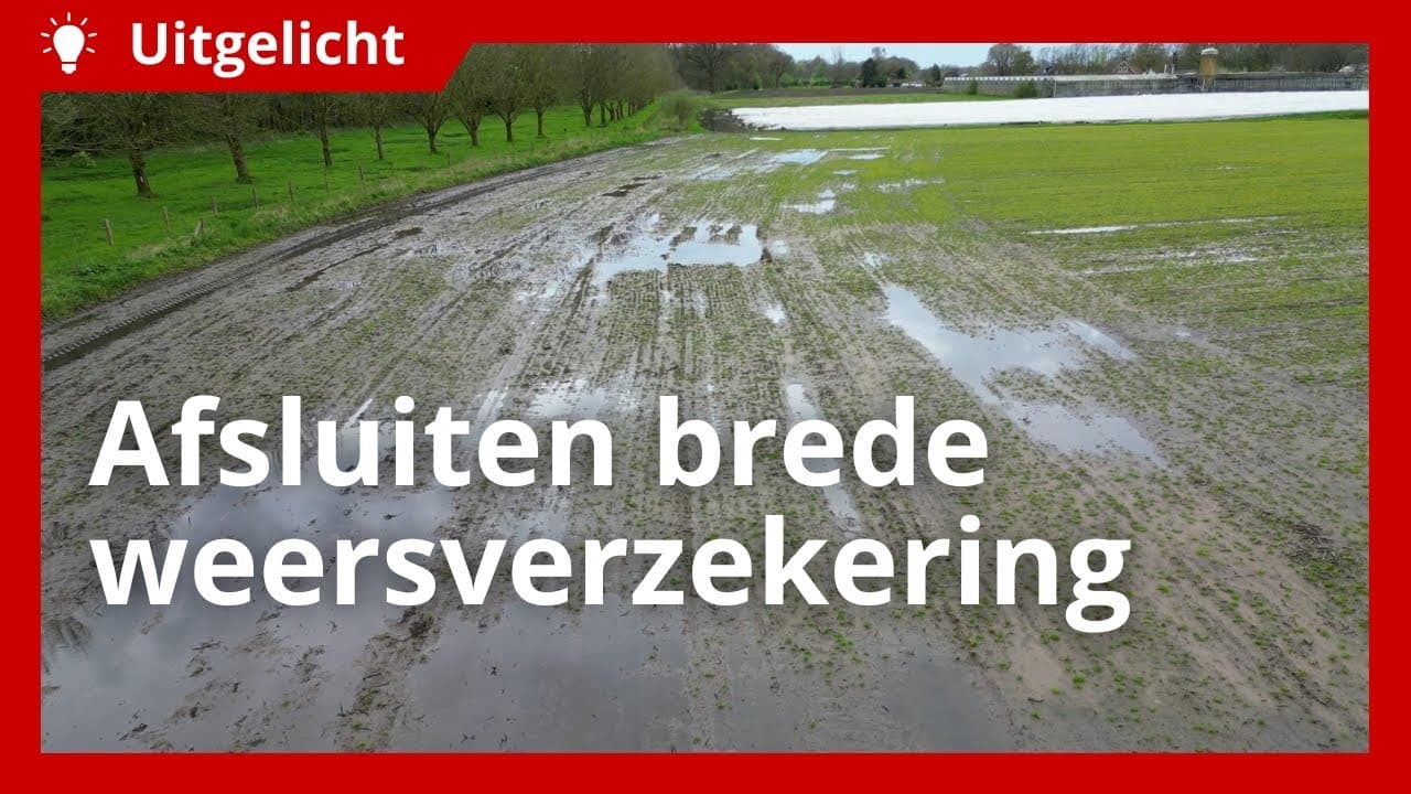 Uitgelicht | Wat dekt een brede weersverzekering?