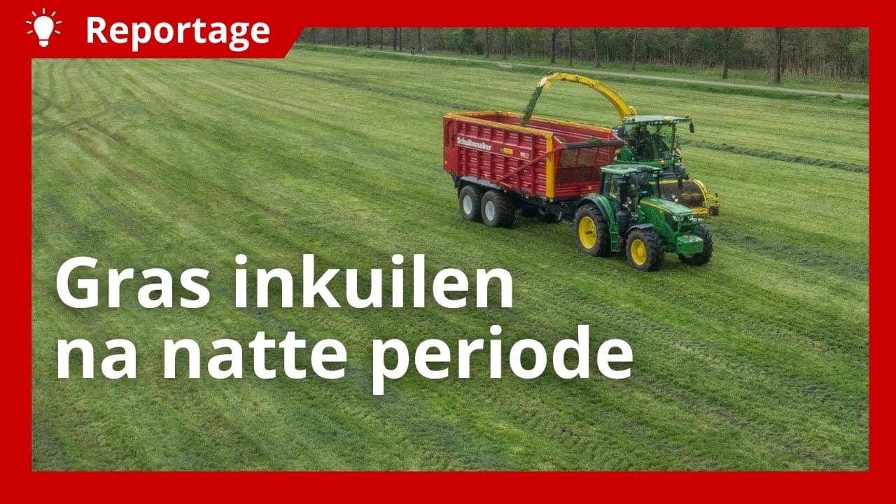 Video | Goede kwaliteit gras inkuilen ondanks een nat voorjaar