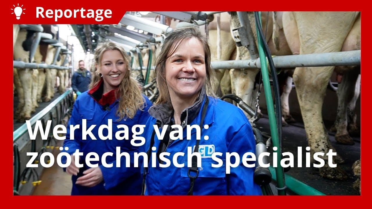 Dag uit het leven van een zoötechnisch specialist