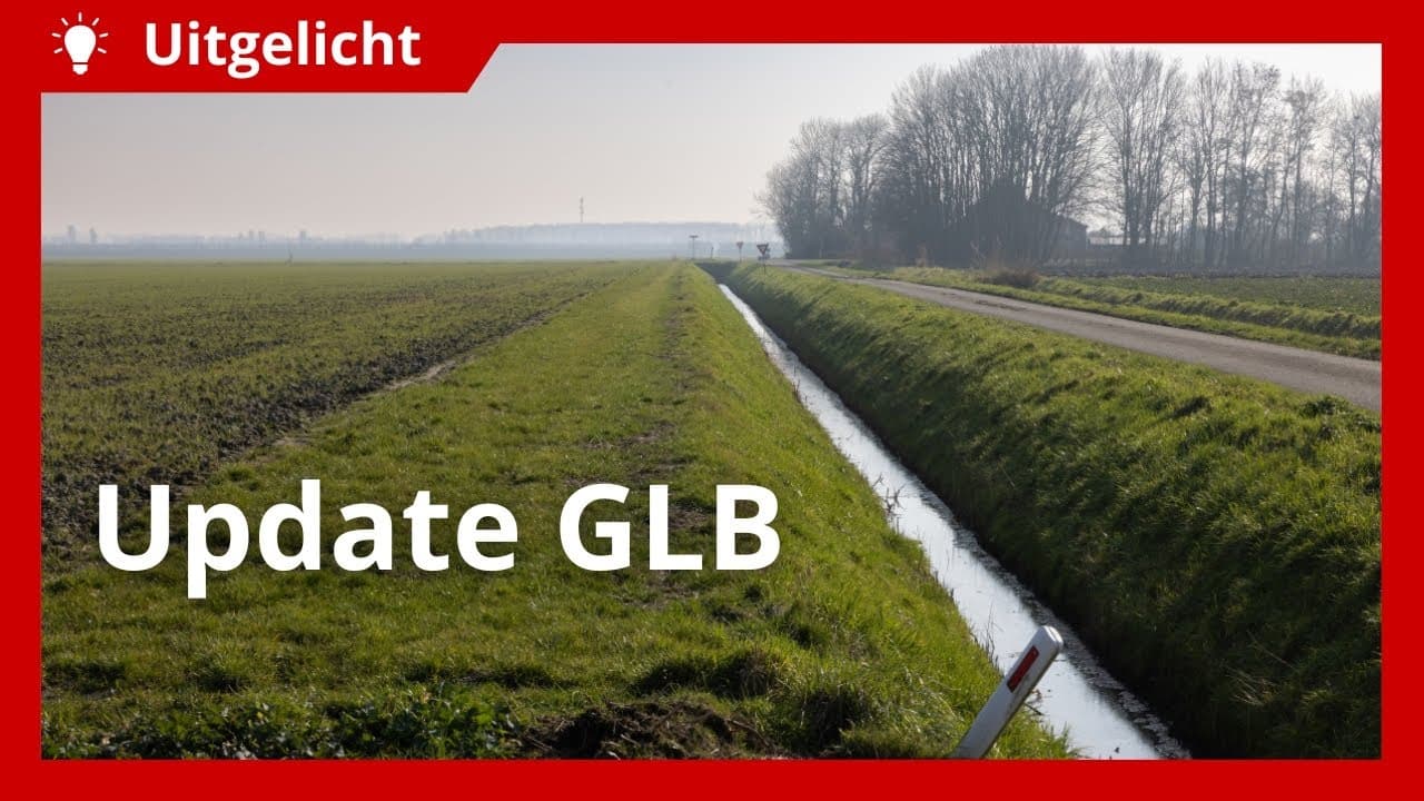Uitgelicht | Wijzigingen GLB en veelgestelde vragen