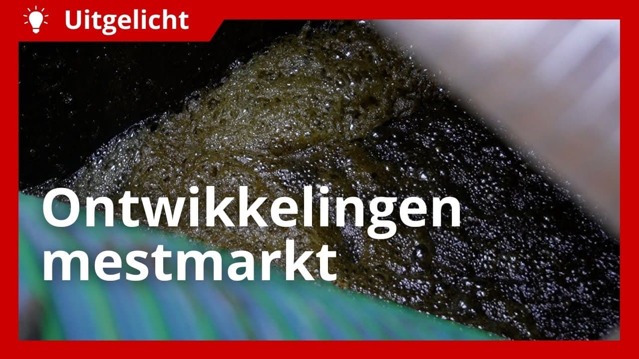 Uitgelicht | Jan Roefs van NCM over mestmarkt en toekomst van renure