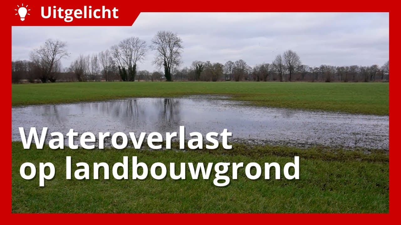 Uitgelicht | Wateroverlast op landbouwgrond