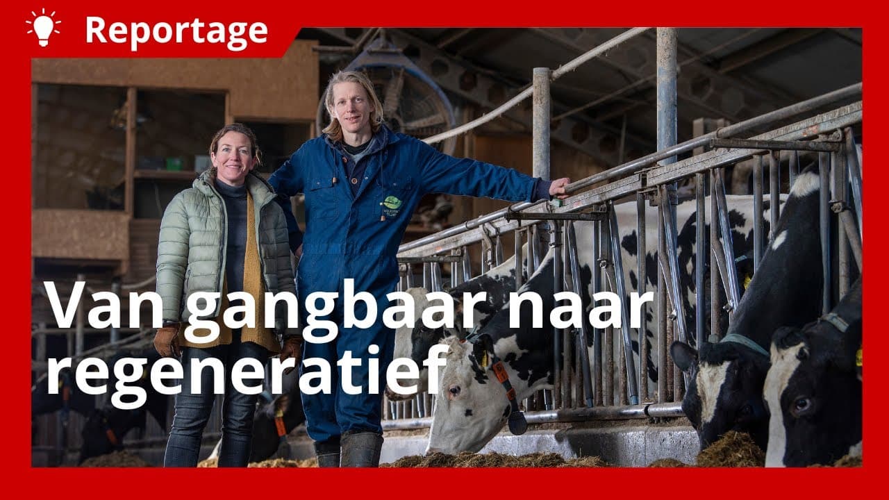 Regeneratief melkveebedrijf focust op optimalisering
