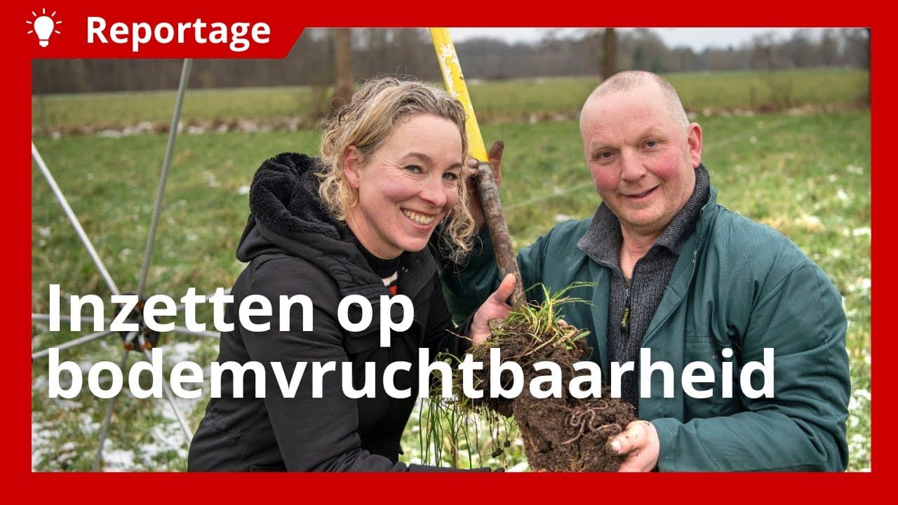 Van gangbaar naar biologisch: melkveebedrijf focust op bodemvruchtbaarheid
