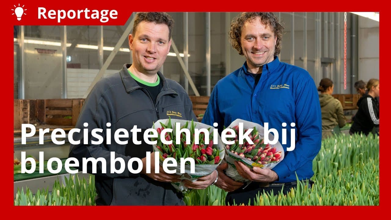 Precisietechniek inzetten voor een duurzamer bloembollenbedrijf