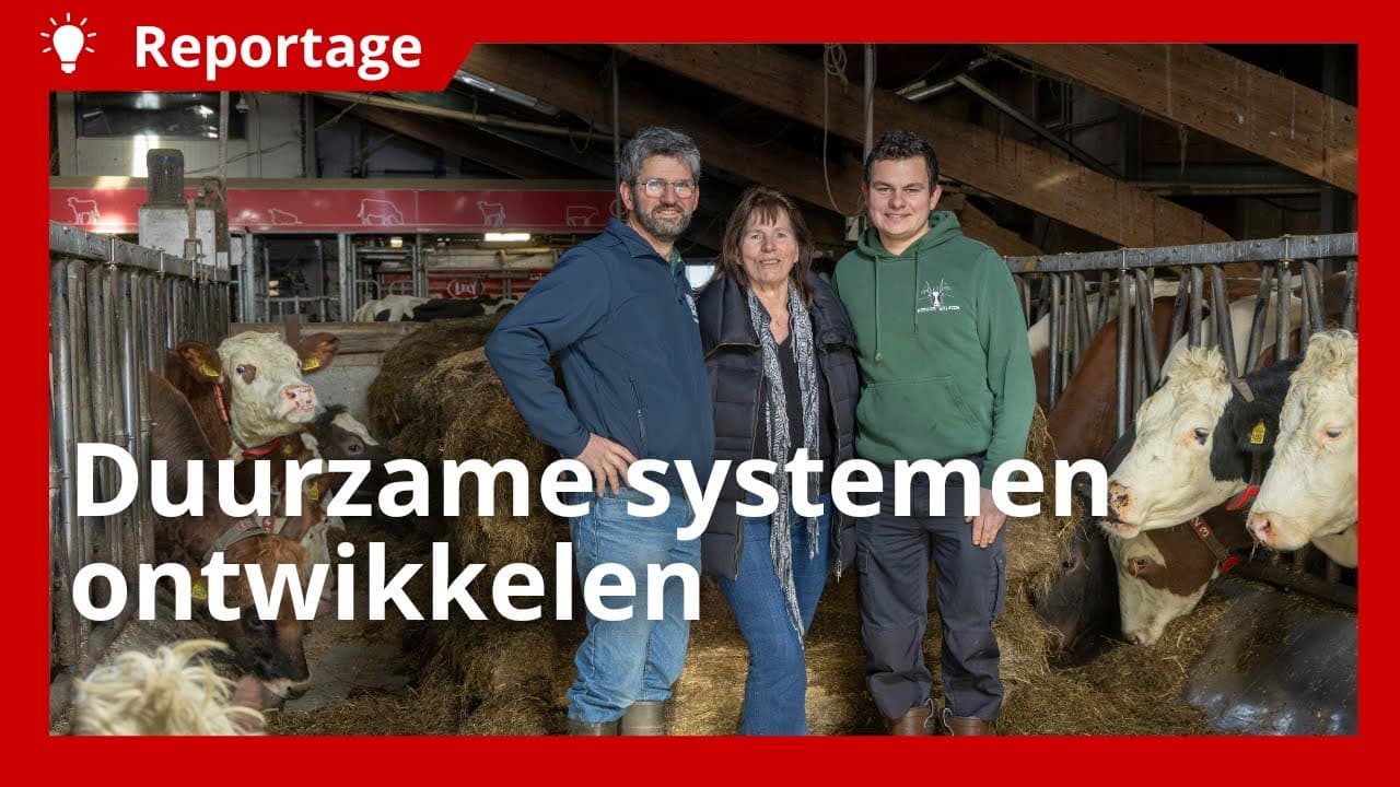 Biologisch melkveebedrijf ontwikkelt duurzame systemen