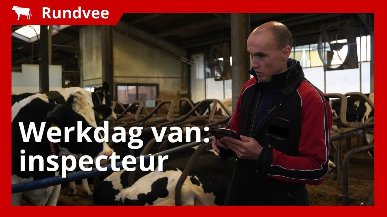 Dag uit het leven van een inspecteur