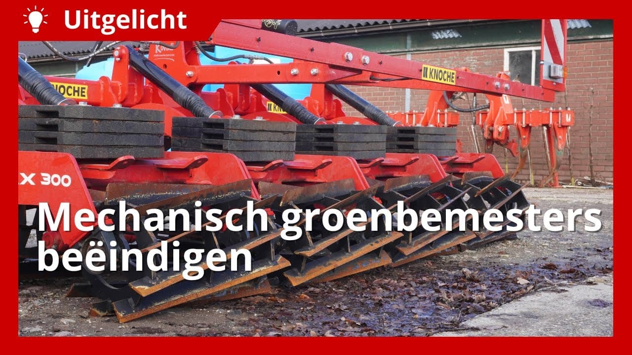 Uitgelicht | Hoe beëindig je mechanisch een groenbemester?
