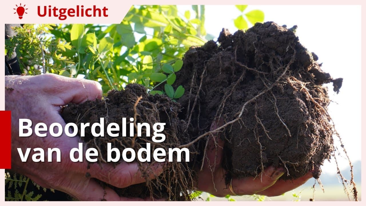 Uitgelicht | Praktische beoordeling van de bodem