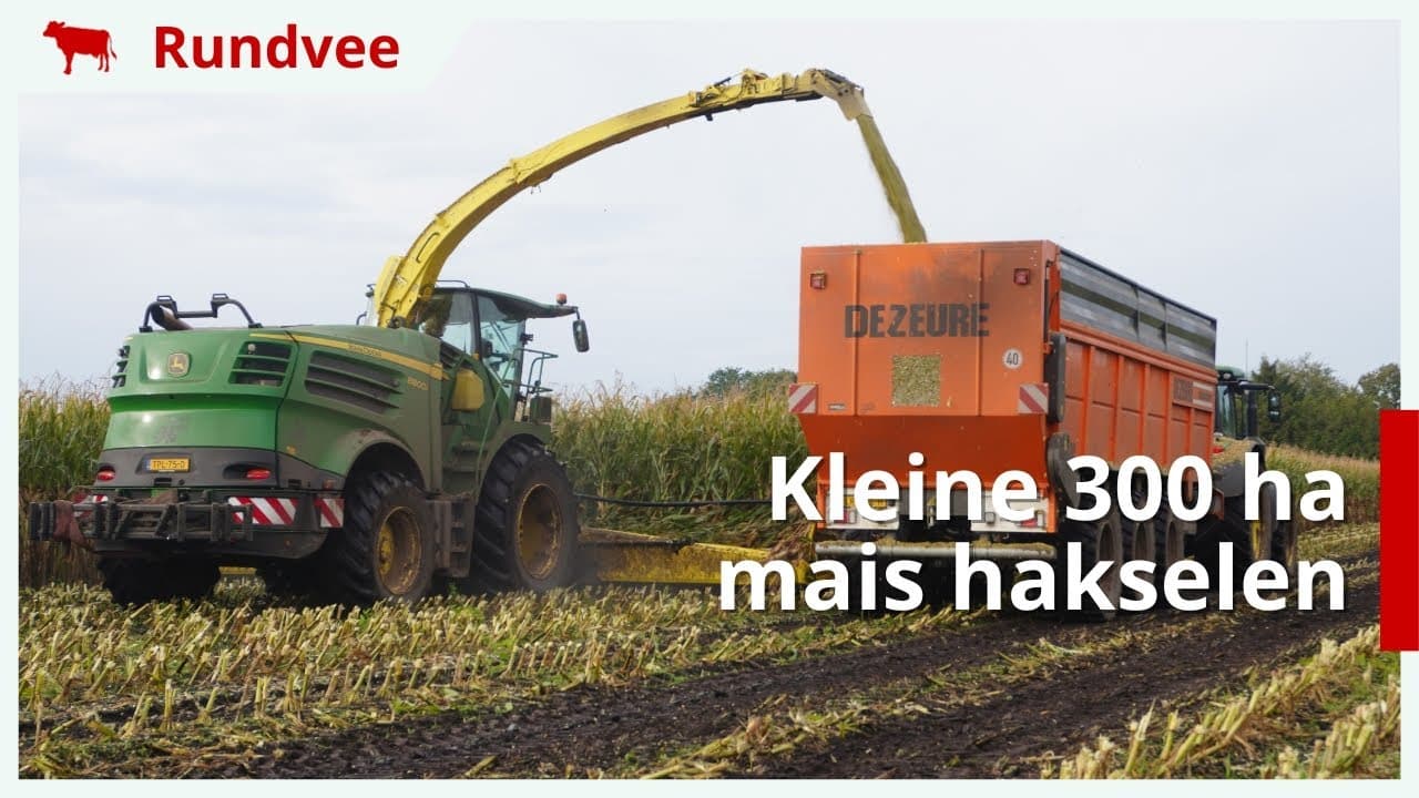 300 hectare mais hakselen en inkuilen