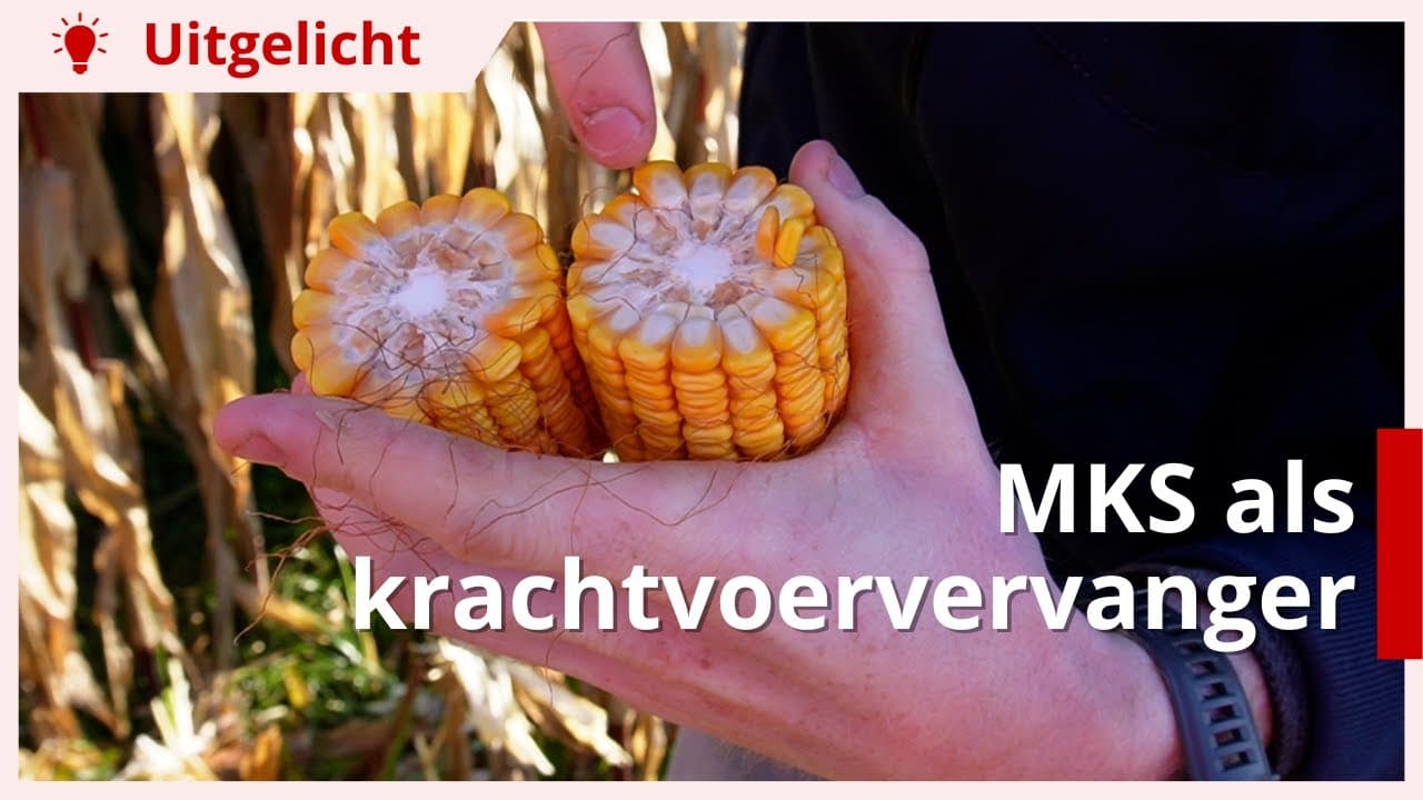 Uitgelicht | MKS als krachtvoervervanger