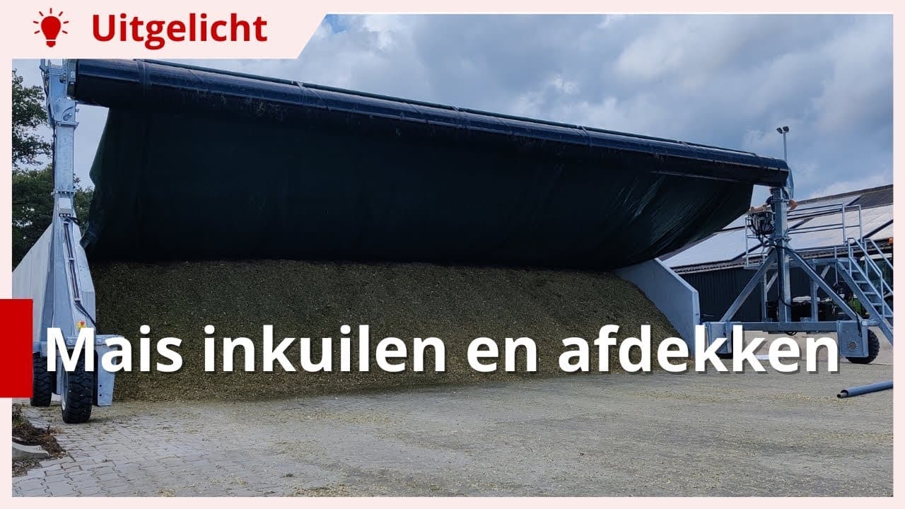 Uitgelicht | Mais inkuilen en afdekken met afdeksysteem